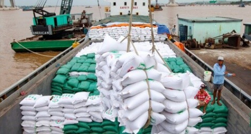Xuất khẩu gạo: Đơn giá được cải thiện, 4 tháng thu về hơn 1 tỷ USD