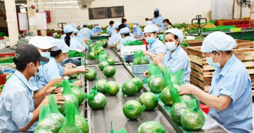 4 tháng, xuất khẩu nông sản Việt Nam đạt hơn 17 tỷ USD