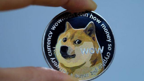Nhà đầu tư lãi bao nhiêu nếu chi 1.000 USD mua tiền ảo Dogecoin đầu năm nay?