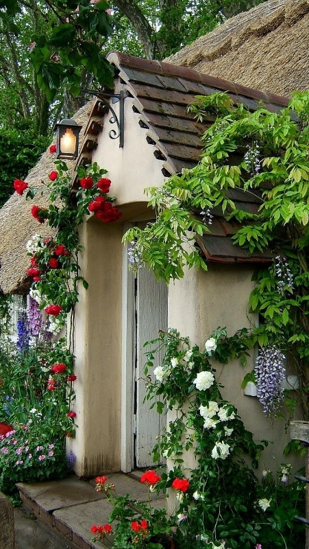 Những ngôi nhà phủ đầy hoa hồng khiến ai nhìn cũng mê