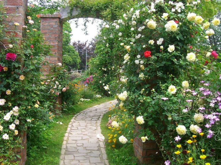 Những ngôi nhà phủ đầy hoa hồng khiến ai nhìn cũng mê