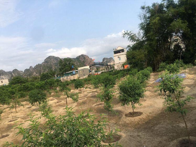 Vân Đồn (Quảng Ninh): Nhiều diện tích đất nông nghiệp, đất công “biến” thành đất ở?