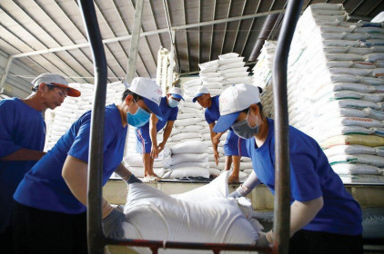 Giá lương thực liên tục tăng, mã nào hưởng lợi?