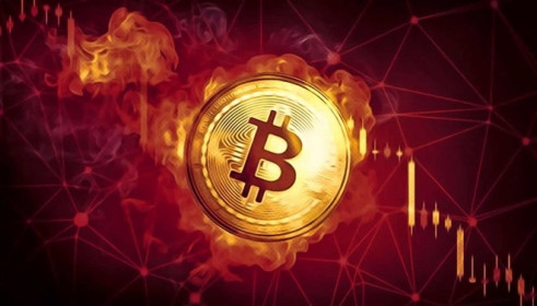 Giá Bitcoin hôm nay 16/5: Bitcoin giảm sập sàn, thị trường rực đỏ
