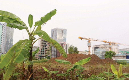 Doanh nghiệp địa ốc “khóc” vì ách tắc Luật Đất đai