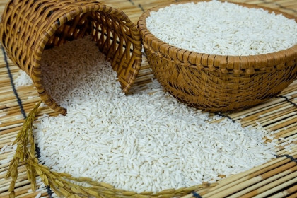 Giá lúa gạo hôm nay 20/5: Giá lúa gạo đi ngang