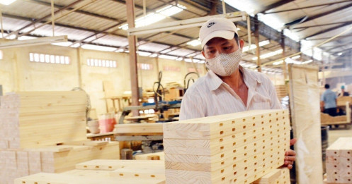 Gỗ Việt Nam nguy cơ bị Mỹ đánh thuế nếu để gỗ Trung Quốc "đội lốt"