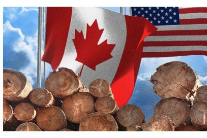 “Cuộc chiến” gỗ mềm giữa Canada và Mỹ lại bùng phát