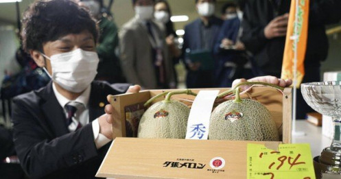 Nhật Bản: Cặp dưa lưới đặc sản được bán với giá 572 triệu đồng