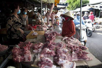 Giá lợn hơi giảm mạnh nhưng giá thịt vẫn cao