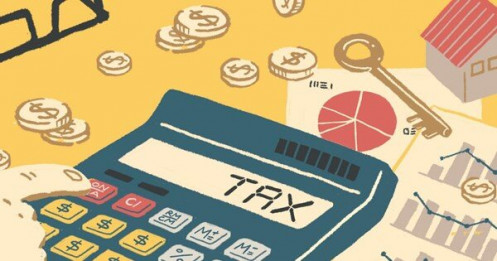 Quản lý rủi ro về thuế được thực hiện theo nguyên tắc và trình tự nào?