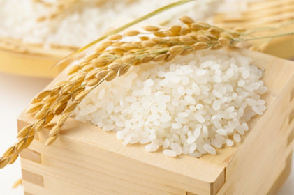 Giá lúa gạo hôm 25/5: Giao dịch chậm, giá lúa gạo duy trì ổn định