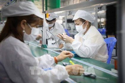Hai doanh nghiệp trong KCN ở Bắc Giang hoạt động trở lại