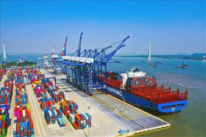 Nhiều yếu tố hỗ trợ ngành logistics cảng biển