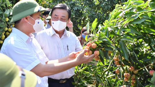 Bộ trưởng NN-PTNT: 'Giải cứu nông sản' làm giảm giá trị kinh tế, thương tổn người nông dân
