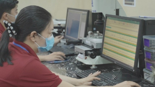 Chương trình hỗ trợ doanh nghiệp Việt Nam của ILO được triển khai trực tuyến