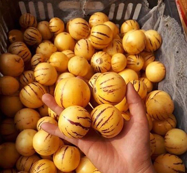 4 loại quả lạ lẫm, nhiều người tưởng hàng sang chảnh nhập khẩu, hóa ra có đầy ở Việt Nam