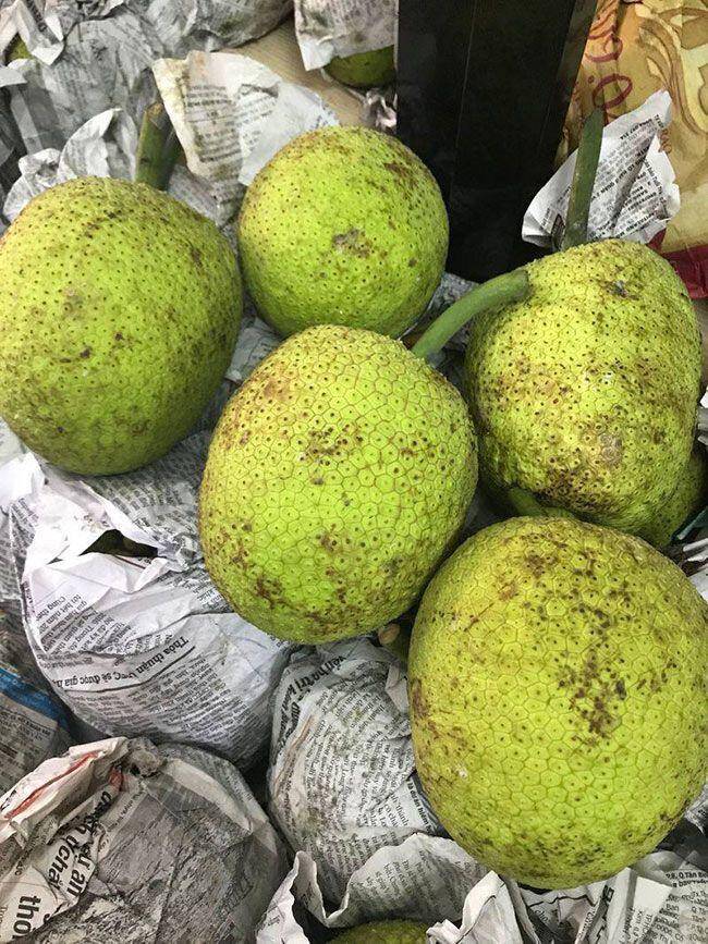 4 loại quả lạ lẫm, nhiều người tưởng hàng sang chảnh nhập khẩu, hóa ra có đầy ở Việt Nam