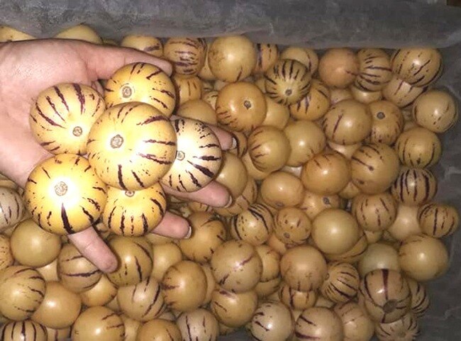 4 loại quả lạ lẫm, nhiều người tưởng hàng sang chảnh nhập khẩu, hóa ra có đầy ở Việt Nam