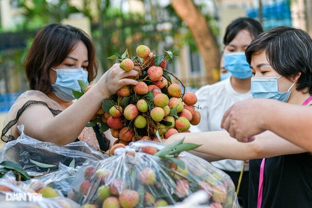 "Luồng xanh" cho nông sản và góc nhìn tiêu dùng ở thị trường 100 triệu dân