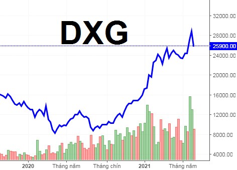 DXG đặt kế hoạch lãi 1,350 tỷ, phát hành 200 triệu cổ phiếu riêng lẻ