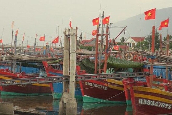 Doanh nghiệp mất tiền tỷ vì không thể xuất khẩu hải sản sang Trung Quốc