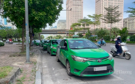 Gỡ khó “cứu” doanh nghiệp vận tải