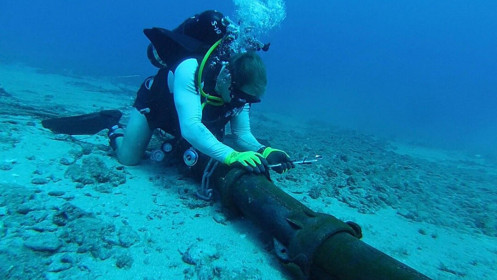 Dự án cáp ngầm Thái Bình Dương bị đình chỉ vì lo ngại Trung Quốc