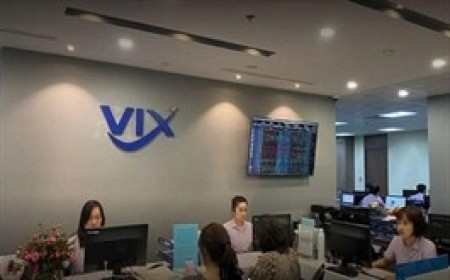 VIX ước chi hơn 42 tỷ đồng tăng sở hữu tại 2 công ty họ Viglacera