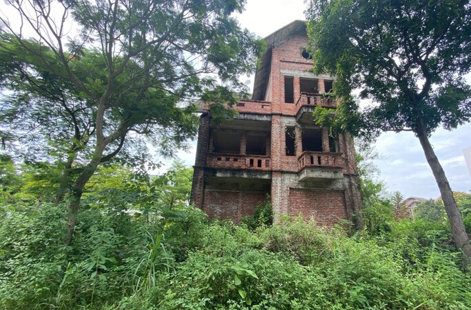 Hàng loạt biệt thự bỏ hoang, khu đô thị ở Hà Nội thành nơi chăn thả bò