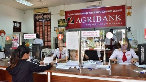 Lãi suất ngân hàng hôm nay 25/6: Agribank niêm yết kỳ hạn 9 tháng 4%/năm