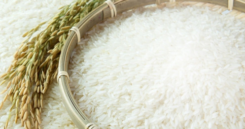 Giá lúa gạo hôm nay 26/6: Giá gạo nội địa tăng giảm trái chiều