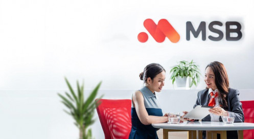 Cổ phiếu cần quan tâm ngày 29/6: MSB, BMP, ANV