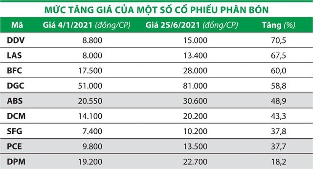 Cổ phiếu phân bón bứt phá