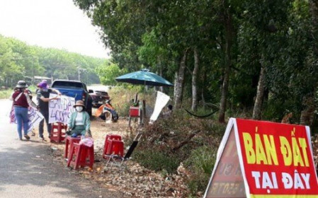Sốt đất “xì hơi“, nhà đầu tư “bỏ cọc chạy lấy người“
