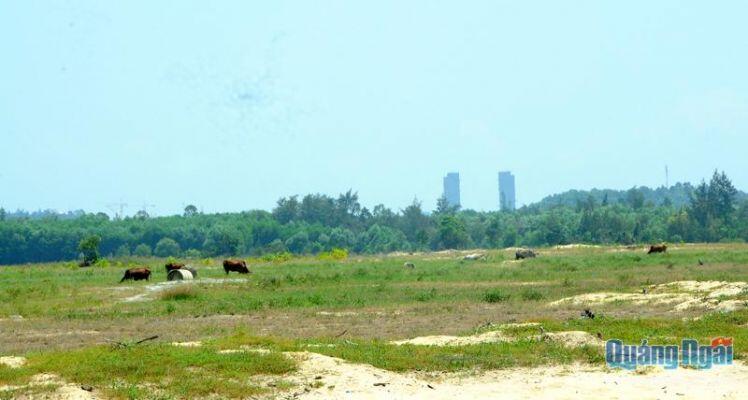 Quỹ đất ở Khu kinh tế Dung Quất: Chưa khai thác hiệu quả