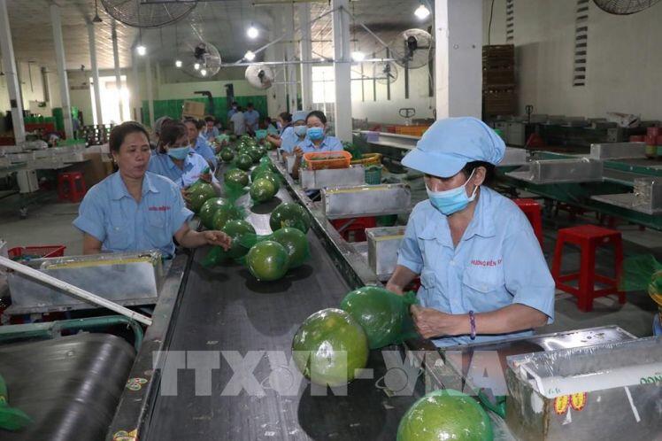 Bến Tre nỗ lực vượt dịch COVID-19, kinh tế tăng trưởng ấn tượng