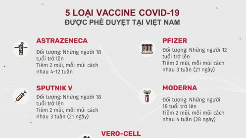 Việt Nam và các hướng tìm nguồn vaccine Covid-19