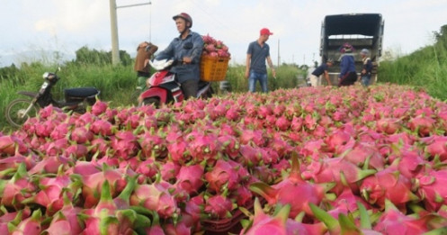 Đặc sản Việt ra mắt chợ mới và cú gây sốt toàn cầu