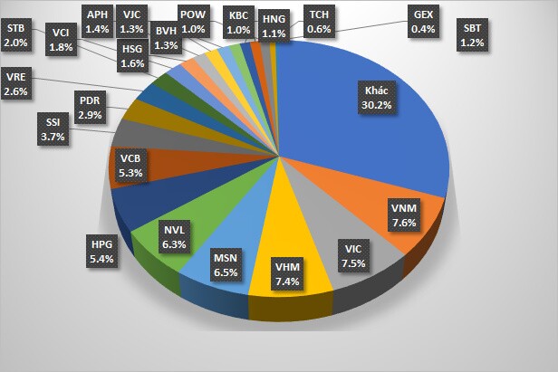 VNM ETF đã mua 4.6 triệu cổ phiếu HNG trong 2 tuần