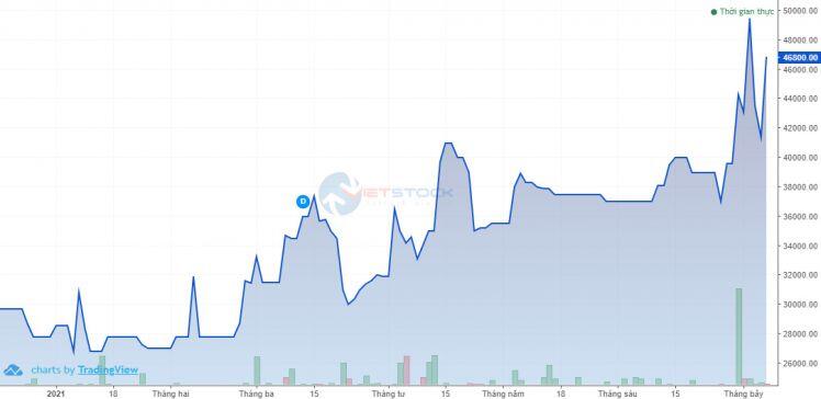 SBH chuẩn bị chi gần 248.5 tỷ đồng trả cổ tức 2020 đợt 1
