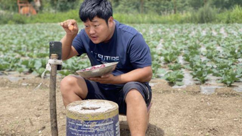 Streamer nông dân Trung Quốc kiếm triệu USD mỗi tháng