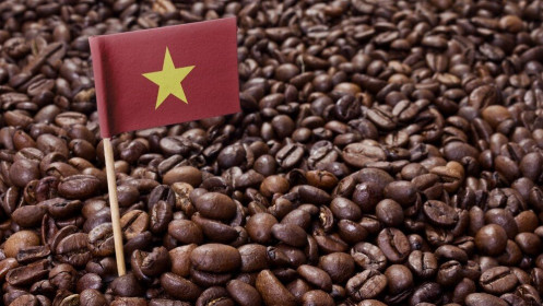 Giá cà phê hôm nay 9/7: Củng cố đà tăng, giãn cách xã hội tại TP. Hồ Chí Minh có thể hỗ trợ giá robusta