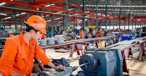 Dịch bủa vây, doanh nghiệp cầm cự