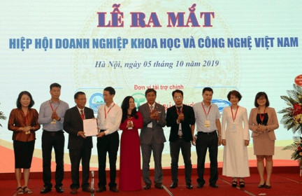 Thành lập Hội đồng Cố vấn Hiệp hội Doanh nghiệp Khoa học và Công nghệ Việt Nam