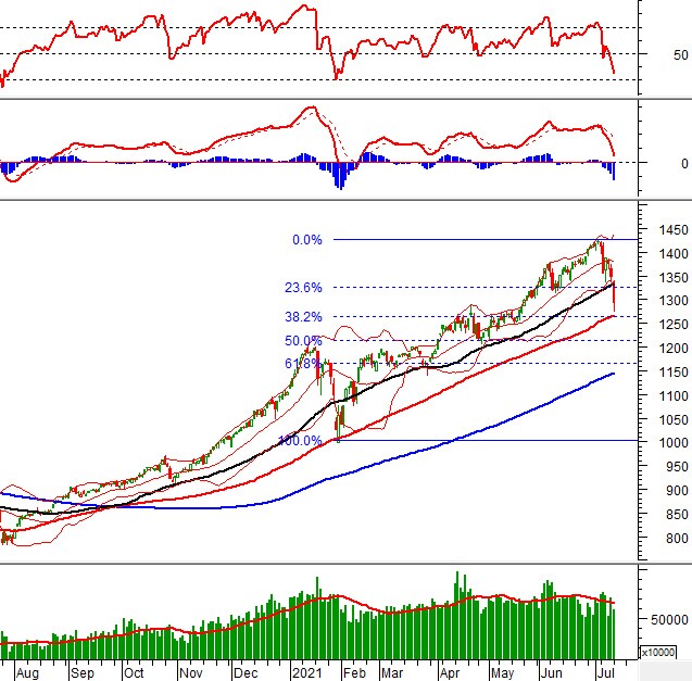 Phân tích kỹ thuật phiên chiều 12/07: VN-Index rơi về gần ngưỡng Fibonacci Retracement 38.2%