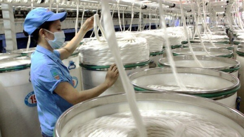 Việt Nam "bỏ túi" thêm 1 tỷ USD nhờ tăng mạnh đơn hàng xuất khẩu xơ sợi