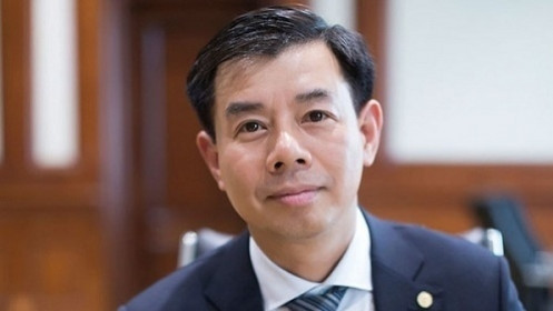 Ông Nguyễn Việt Quang tiếp tục làm Tổng Giám đốc Vingroup