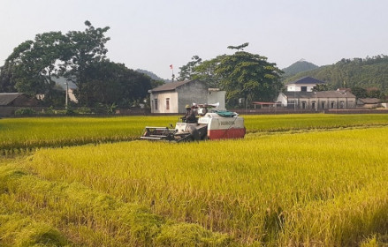 6 tháng đầu năm 2021: Supe Lâm Thao cung ứng 3.590 tấn phân bón trả chậm cho nông dân tỉnh Phú Thọ