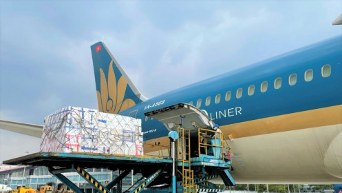 Vietnam Airlines cũng muốn lập hãng bay chở hàng hóa